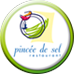   logo-pincéd-de-sel  